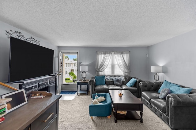 47 Morgan Ave Unit 61, Johnston, RI 02919 - living area with a textured ceiling and light carpet