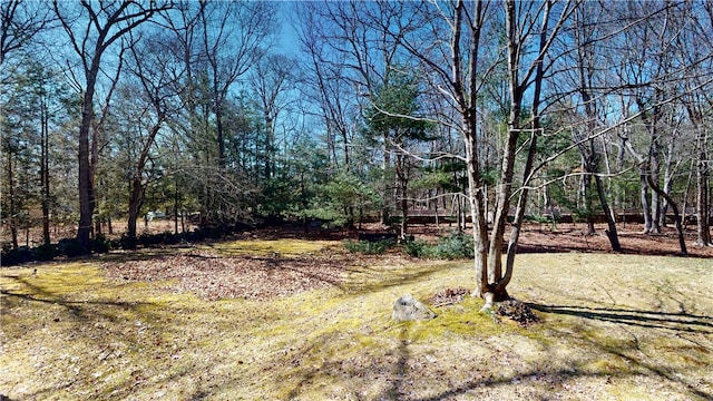 118 Carrs Trl, Coventry, RI 02827 - photo 40