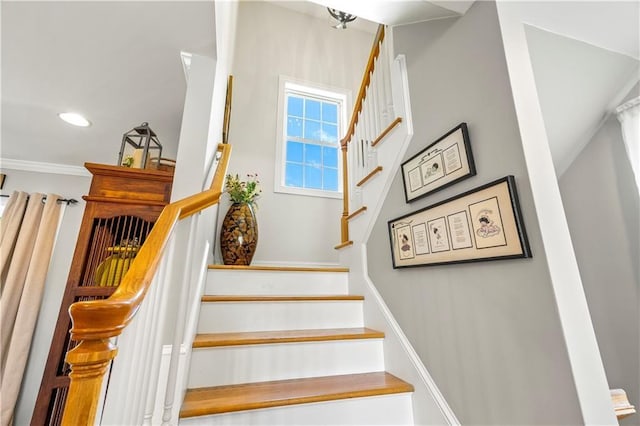 14 Evelyn Way, Seekonk, MA 02771 - photo 22