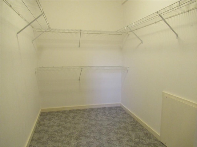 73 Orchard Meadows Dr Unit 73, Smithfield, RI 02917 - walk in closet with carpet