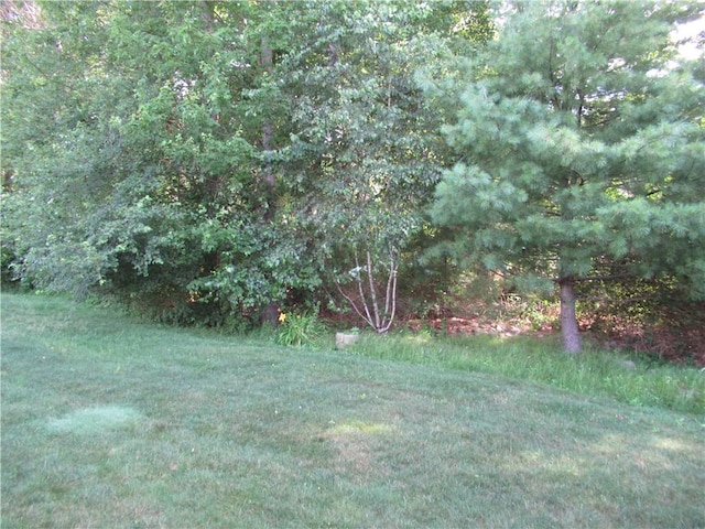 73 Orchard Meadows Dr Unit 73, Smithfield, RI 02917 - view of yard