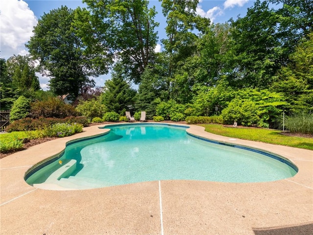 173 Gaskill St, Woonsocket, RI 02895 - outdoor pool featuring view of wooded area and a patio