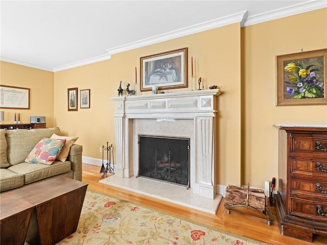 173 Gaskill St, Woonsocket, RI 02895 - living area featuring wood finished floors, crown molding, and a high end fireplace