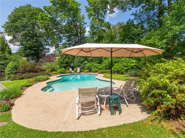 173 Gaskill St, Woonsocket, RI 02895 - swimming pool with a patio and view of wooded area