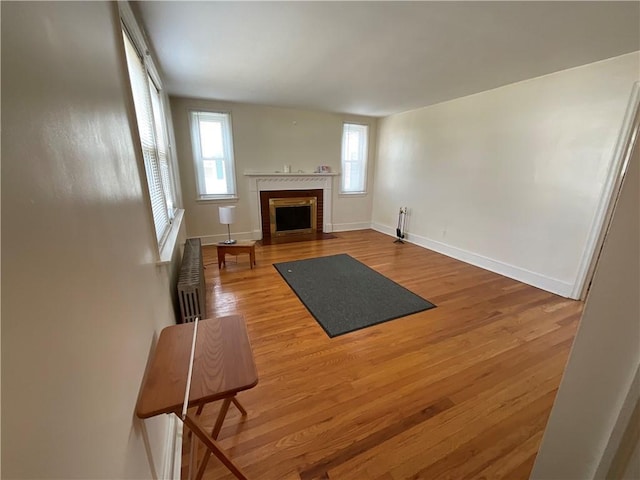 94 Alvin St, Warwick, RI 02886 - unfurnished living room with light wood-style floors, a fireplace, and healthy amount of natural light