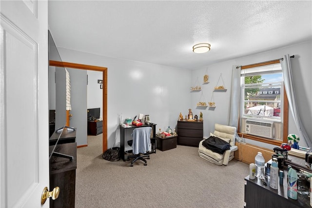 270 Central St, Central Falls, RI 02863 - carpeted office space featuring cooling unit and a textured ceiling