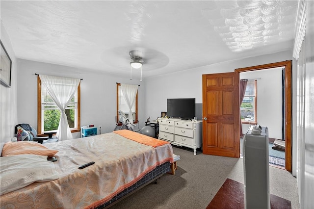 270 Central St, Central Falls, RI 02863 - bedroom with carpet and ceiling fan