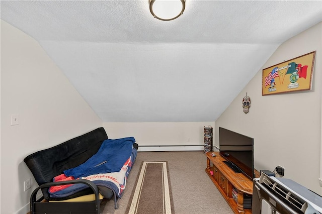 270 Central St, Central Falls, RI 02863 - sitting room featuring vaulted ceiling, a baseboard radiator, carpet, and a textured ceiling