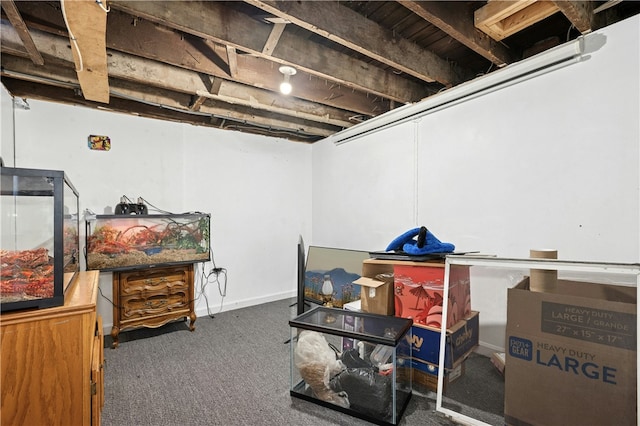 79 Winthrop St, Woonsocket, RI 02895 - unfinished basement with carpet floors