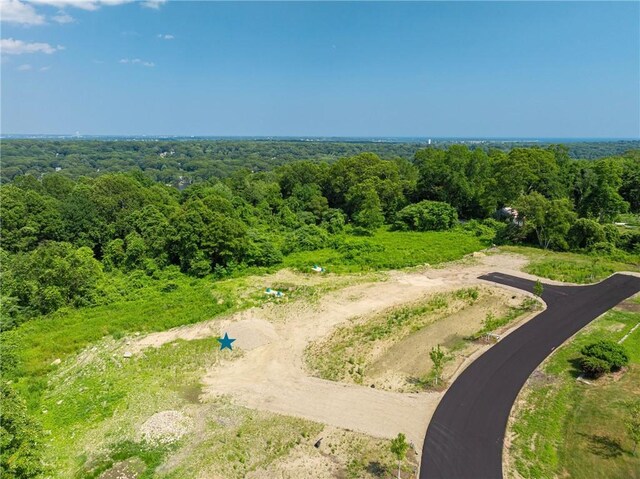 46 Hillside Ct, North Kingstown, RI 02874 - photo 4