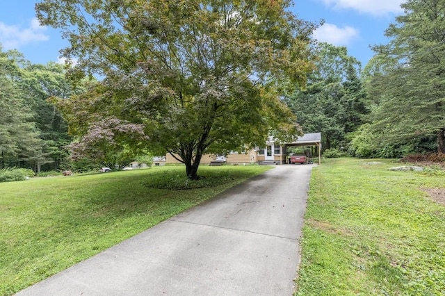 226 Westcott Rd, Scituate, RI 02857 - view of property hidden behind natural elements with a front yard, concrete driveway, and a carport
