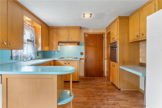 352 Cove Ave, Warwick, RI 02886 - kitchen with under cabinet range hood, stainless steel oven, light wood-type flooring, light countertops, and a peninsula