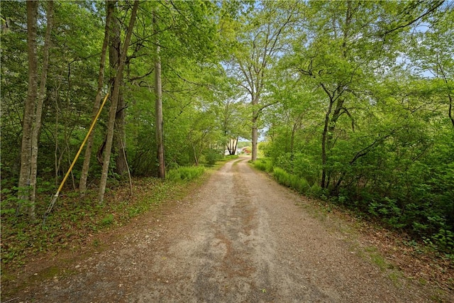106 Lauri Dr, Charlestown, RI 02813 - view of dirt / gravel driveway featuring a forest view