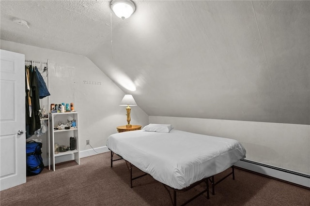 230 Pawtucket Ave, Pawtucket, RI 02860 - bedroom with baseboard heating, lofted ceiling, carpet flooring, and a textured ceiling