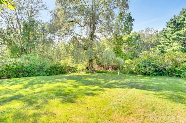 24 Schoolhouse Rd, Warren, RI 02885 - photo 18