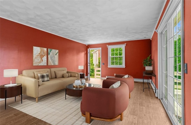 43 Peckham Pl, Bristol, RI 02809 - living room featuring light wood finished floors and baseboards