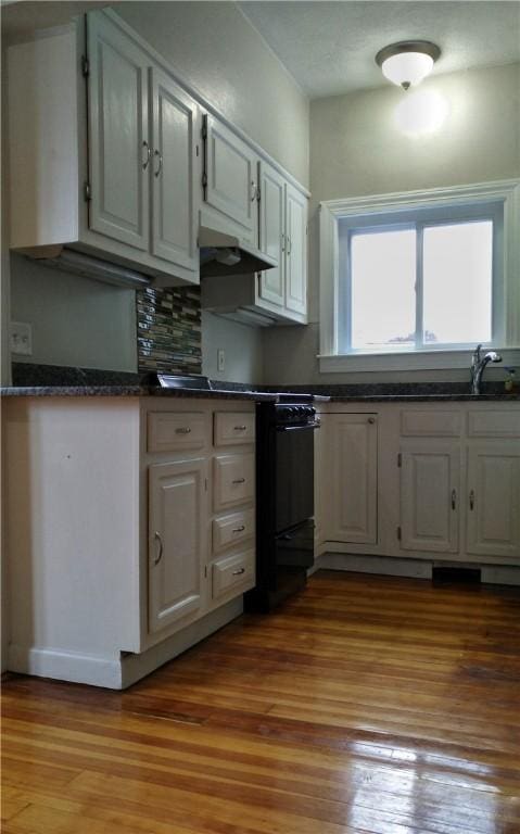 598 Admiral St, Providence, RI 02908 - kitchen featuring under cabinet range hood, light wood-type flooring, dark countertops, and backsplash