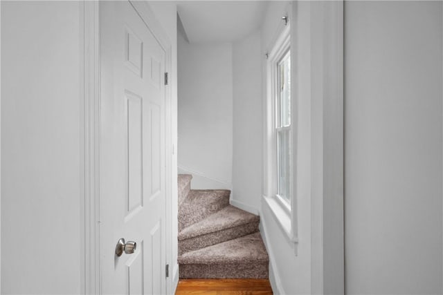 136 Juniper St, East Providence, RI 02914 - photo 21