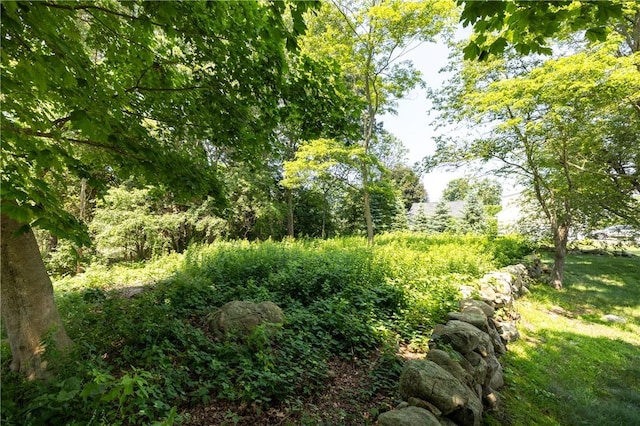 2 Quail Run, Westerly, RI 02891 - view of nature