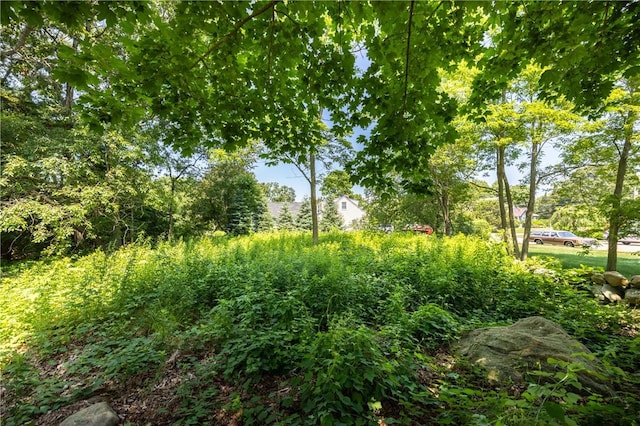 2 Quail Run, Westerly, RI 02891 - view of local wilderness