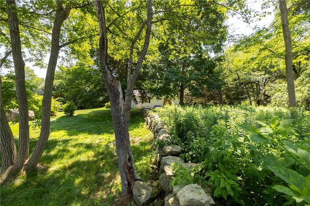 2 Quail Run, Westerly, RI 02891 - view of grassy yard