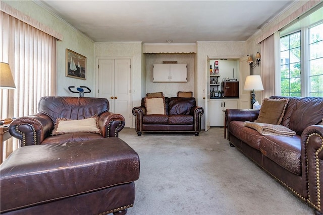 64 Riverfarm Rd, Cranston, RI 02910 - living area featuring carpet floors and crown molding