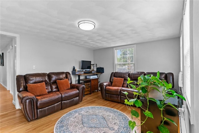 160 Coburn St, Warwick, RI 02889 - living room featuring light wood finished floors and an office area