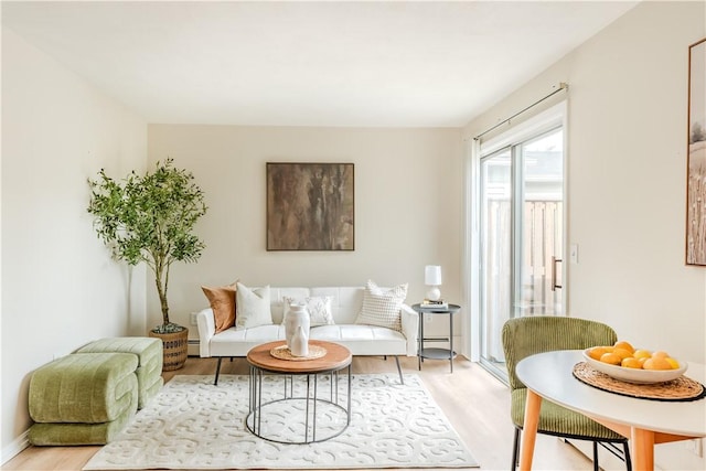 10 E St Unit 207, Cranston, RI 02920 - living room featuring light wood-type flooring
