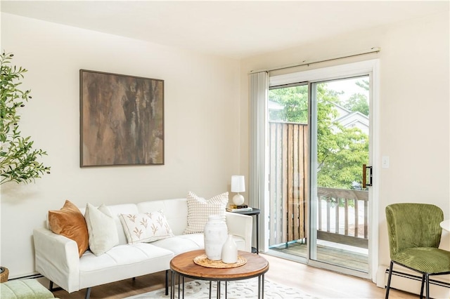 10 E St Unit 207, Cranston, RI 02920 - living room featuring a baseboard heating unit and wood finished floors