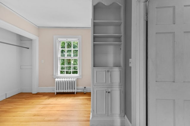 189 Butler Ave, Providence, RI 02906 - closet featuring radiator