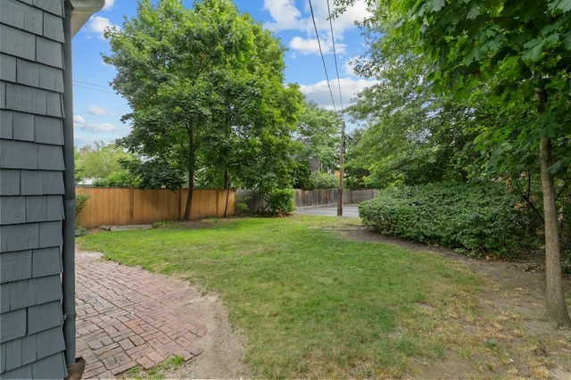 189 Butler Ave, Providence, RI 02906 - view of yard