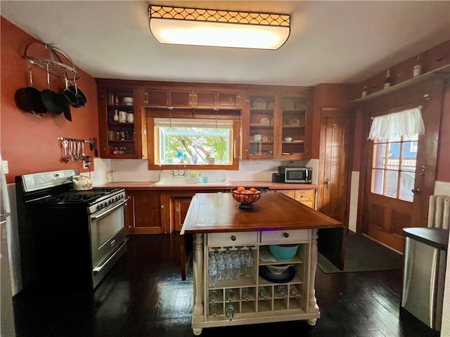 55 Greylock Ave, Cranston, RI 02910 - kitchen with appliances with stainless steel finishes, dark wood-style floors, brown cabinets, glass insert cabinets, and open shelves