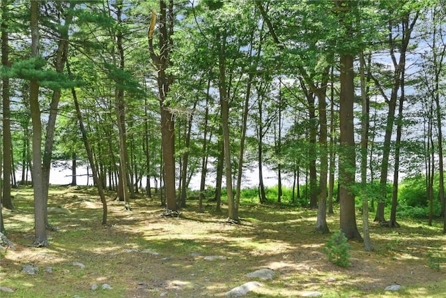 6 Ferris Dr, Coventry, RI 02816 - view of local wilderness