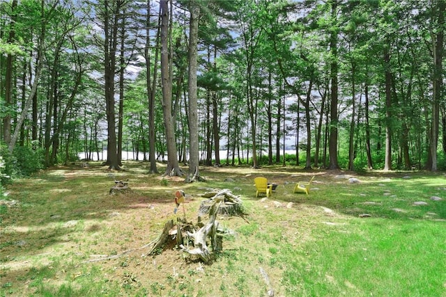 6 Ferris Dr, Coventry, RI 02816 - view of yard
