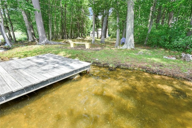 6 Ferris Dr, Coventry, RI 02816 - view of yard