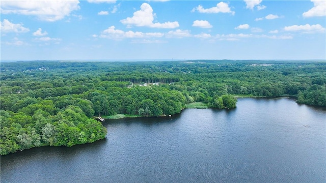 6 Ferris Dr, Coventry, RI 02816 - drone / aerial view of a heavily wooded area and a large body of water