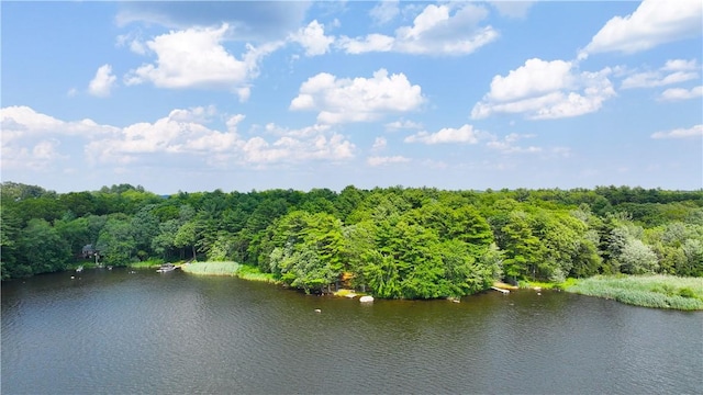 6 Ferris Dr, Coventry, RI 02816 - bird's eye view of a forest and a large body of water