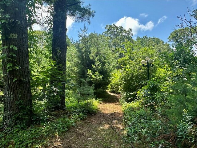 20 Biscuit Hill Rd, Foster, RI 02825 - photo 42