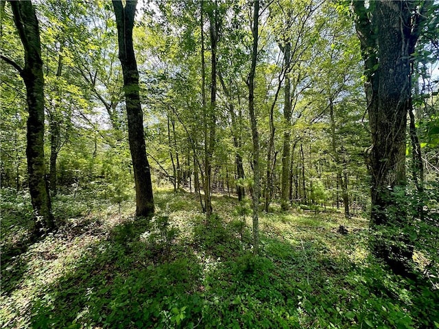20 Biscuit Hill Rd, Foster, RI 02825 - photo 44