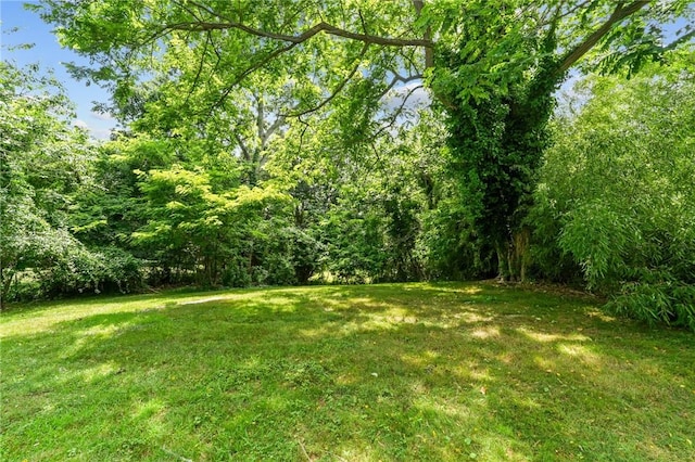 7 Antony Ave, Bristol, RI 02809 - view of green lawn with a wooded view