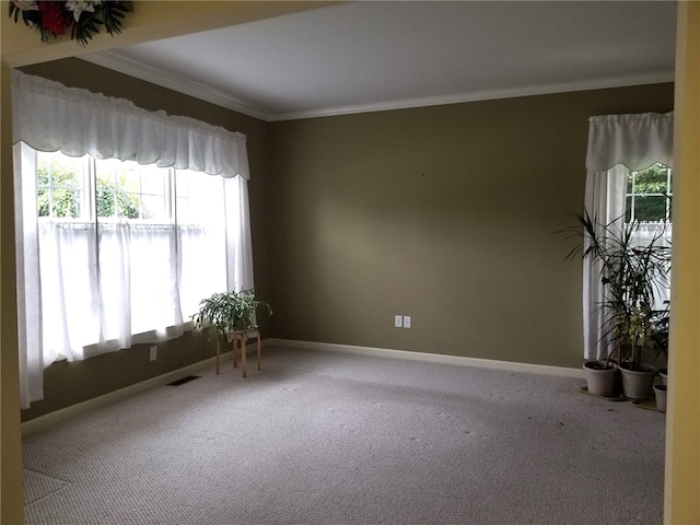 170 Providence Pike Unit 52, North Smithfield, RI 02896 - empty room featuring crown molding and carpet flooring
