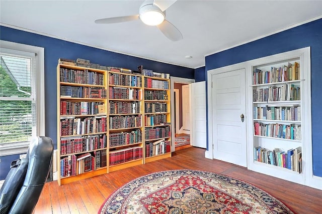 179 Elmgrove Ave, Providence, RI 02906 - office with plenty of natural light, hardwood / wood-style floors, and ceiling fan