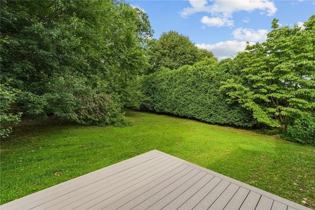 21 Hope Hill Ter, Cranston, RI 02921 - photo 31