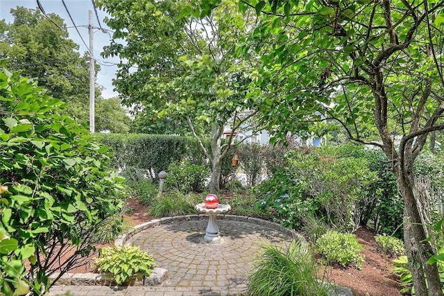 53 Avon St, Somerset, MA 02726 - view of yard