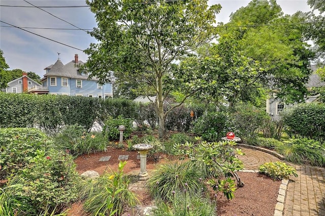 53 Avon St, Somerset, MA 02726 - view of yard