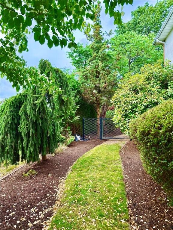 74 Plymouth Rd, East Providence, RI 02914 - view of yard