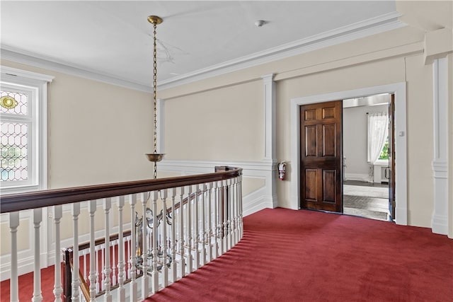519 Bellevue Ave Unit 2N, Newport, RI 02840 - corridor with ornamental molding and dark carpet