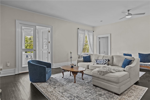 519 Bellevue Ave Unit 2N, Newport, RI 02840 - living area with dark wood-style floors, crown molding, and ceiling fan