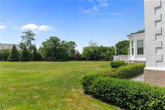 519 Bellevue Ave Unit 2N, Newport, RI 02840 - view of green lawn
