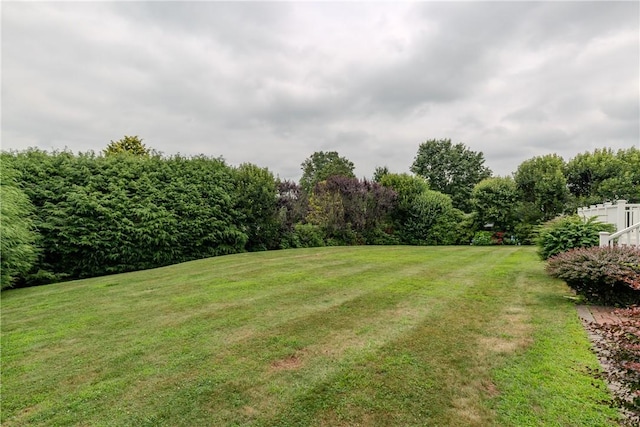 11 Macintosh Dr, Smithfield, RI 02828 - view of green lawn